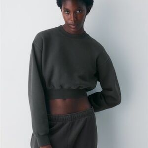 Aritzia Cropped Crewneck